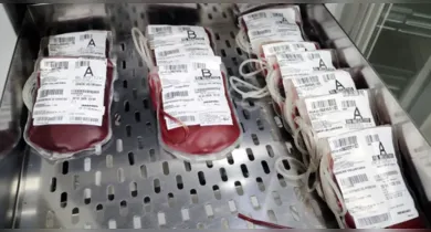 Imagem ilustrativa da notícia: Doações de sangue salvam vidas de crianças e adultos na Santa Casa