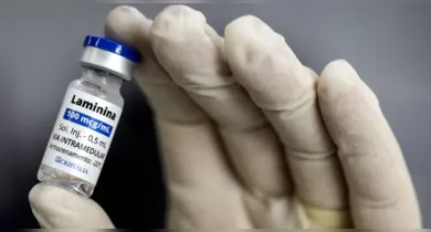 Imagem ilustrativa da notícia: Polilaminina ainda não é remédio: especialistas fazem alerta