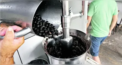 Imagem ilustrativa da notícia: Saiba como identificar pontos de açaí licenciados em Belém e Ananindeua