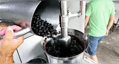 Imagem ilustrativa da notícia: Ministério da Saúde declara surto de doença de Chagas em Ananindeua