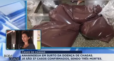 Imagem ilustrativa da notícia: Ananindeua: mulher denuncia descaso da saúde após morte por doença de Chagas