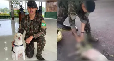 Imagem ilustrativa da notícia: Sargento adota cadela após salvá-la de ataque de sucuri no Pará