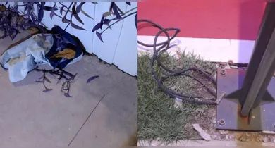 Imagem ilustrativa da notícia: Suspeito é preso por furto de fiação no Parque Linear da Tamandaré