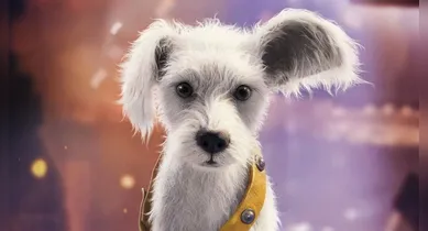 Imagem ilustrativa da notícia: Supergirl: Baby Krypto é revelado em novo trailer do DCU