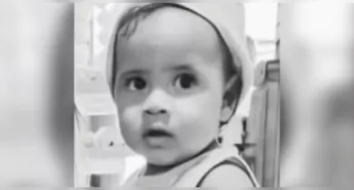 Imagem ilustrativa da notícia: Criança de 2 anos morre após ataque de abelhas em São Miguel do Guamá