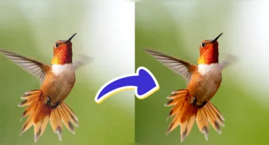 Imagem ilustrativa da notícia: Fotos ruins? Conheça 4 ferramentas gratuitas de IA para remover ruído de imagem