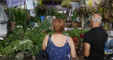 Imagem ilustrativa da notícia: Não é só em Belém! Banhos de ervas aumentam procura no RJ