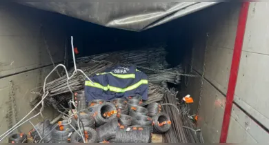 Imagem ilustrativa da notícia: Sefa apreende 25 toneladas de vergalhões e arame com irregularidade no Pará