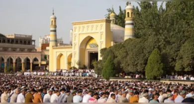 Imagem ilustrativa da notícia: Pikas entram em risco de extinção e preocupa cientistas chineses