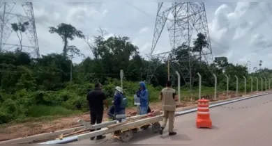 Imagem ilustrativa da notícia: Semas fiscaliza empresa de energia em refúgio de vida silvestre, em Marituba