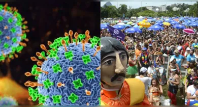 Imagem ilustrativa da notícia: Vírus Nipah: entenda o risco para o Brasil no Carnaval 2026