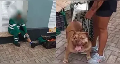 Imagem ilustrativa da notícia: Pitbull ataca e morde gari no Ver-o-Peso, em Belém