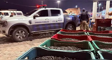 Imagem ilustrativa da notícia: Fiscalização apura descarte irregular de açaí no Ver-o-Peso