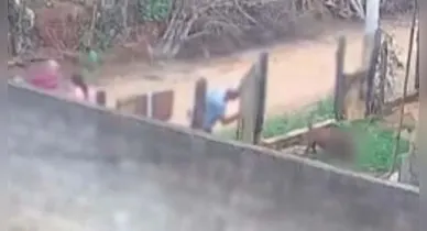 Imagem ilustrativa da notícia: Vídeo: bebê de 10 meses morre após ataque brutal de pitbull