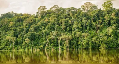 Imagem ilustrativa da notícia: Pará reduz em 67% os focos de queimadas em 2025, aponta Inpe