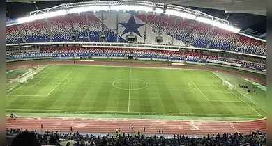 Imagem ilustrativa da notícia: Gramado do Mangueirão apresenta melhora após força-tarefa