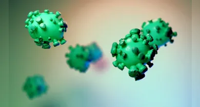 Imagem ilustrativa da notícia: Ministério da Saúde confirma presença do vírus da Gripe K no Pará