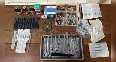 Imagem ilustrativa da notícia: Mulher é presa por realizar cirurgias em gatos sem licença em Castanhal