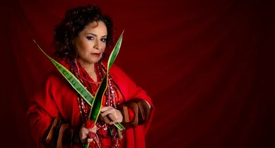 Imagem ilustrativa da notícia: Alba Mariah comemora 60 anos com o show “Temporal”