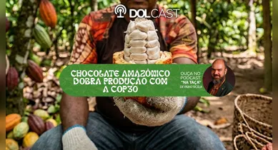 Imagem ilustrativa da notícia: Chocolate amazônico dobra produção com a COP30