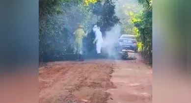 Imagem ilustrativa da notícia: Vídeo: homem morre após ataque de enxame de abelhas