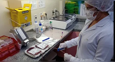 Imagem ilustrativa da notícia: Governo do Pará inaugura 25ª Agência Transfusional nesta sexta (20)