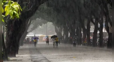 Imagem ilustrativa da notícia: Pará tem alerta de chuvas intensas até quarta-feira (17)