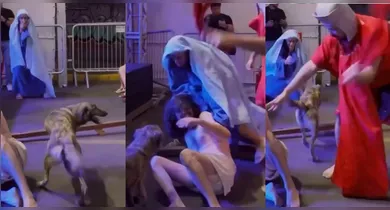 Imagem ilustrativa da notícia: Vídeo: cadela avança contra torturadores de Cristo em encenação