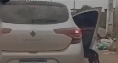 Imagem ilustrativa da notícia: Vídeo: Cachorro é abandonado na Av. Bernardo Sayão, em Belém