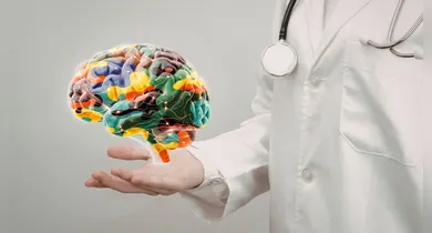 Imagem ilustrativa da notícia: Ciência recupera atividade em cérebro congelado pela 1ª vez