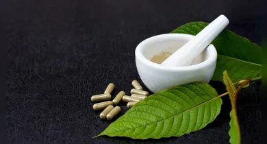 Imagem ilustrativa da notícia: Intoxicações por kratom disparam mais de 1.200% nos EUA em dez anos