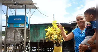 Imagem ilustrativa da notícia: Luz para Todos: Equatorial faz obras no Sul e Sudeste do PA