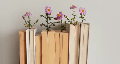 Imagem ilustrativa da notícia: Dia Mundial do Livro é comemorado nesta quinta-feira (23)