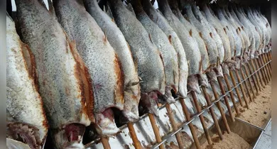 Imagem ilustrativa da notícia: Semana Santa: saiba como identificar o peixe legítimo e evitar riscos