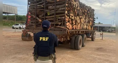 Imagem ilustrativa da notícia: PRF apreende 35 m³ de madeira ilegal na BR-155 em Eldorado dos Carajás