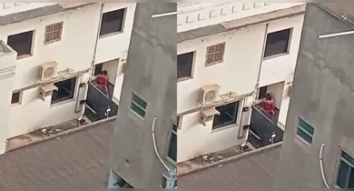 Imagem ilustrativa da notícia: VÍDEO: Casal é flagrado fazendo sexo na escadaria de fórum