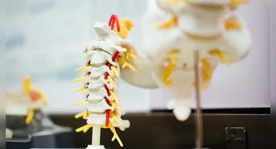 Imagem ilustrativa da notícia: Polilaminina: a substância que traz esperança contra a paralisia 