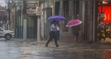 Imagem ilustrativa da notícia: Governo intensifica ações em municípios do Pará atingidos por fortes chuvas