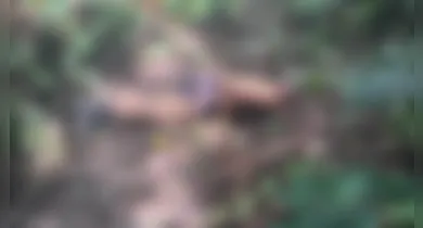 Imagem ilustrativa da notícia: Vídeo: homem é achado morto com mãos e pés amarrados no Pará