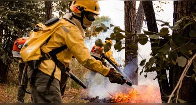 Imagem ilustrativa da notícia: Candidatos têm até sexta (27) para se inscrever no PSS de brigadistas da Semas-PA
