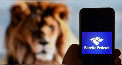 Imagem ilustrativa da notícia: Imposto de Renda 2026: saiba quando o MEI deve prestar contas