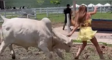 Imagem ilustrativa da notícia: Nicole Bahls é atacada por vaca em seu sítio e escapa por pouco