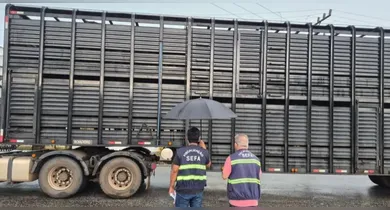 Imagem ilustrativa da notícia: Combustível, gado e aparelhos de academia são apreendidos no Pará 