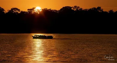 Imagem ilustrativa da notícia: Celso Lobo leva Amazônia para exposição no Rio de Janeiro