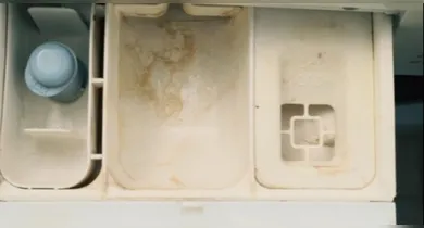 Imagem ilustrativa da notícia: Geladeira e máquina com mofo? Saiba como eliminar