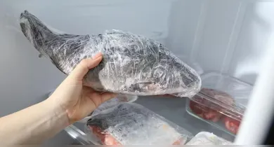 Imagem ilustrativa da notícia: Saiba como descongelar e conservar peixe corretamente