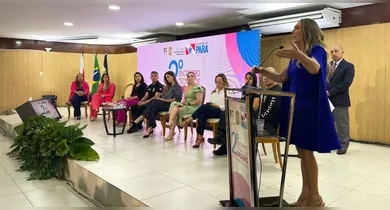 Imagem ilustrativa da notícia: Belém sedia encontro técnico sobre violência contra a mulher