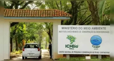 Imagem ilustrativa da notícia: ICMBio abre processo seletivo para Agentes Ambientais no Pará