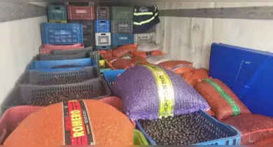 Imagem ilustrativa da notícia: Mais de 43 toneladas de açaí irregular são apreendidas no Pará