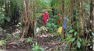 Imagem ilustrativa da notícia: Corpo desmembrado é encontrado em zona rural do Pará